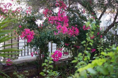 Glyfada Riviera Home Atenas Exterior foto